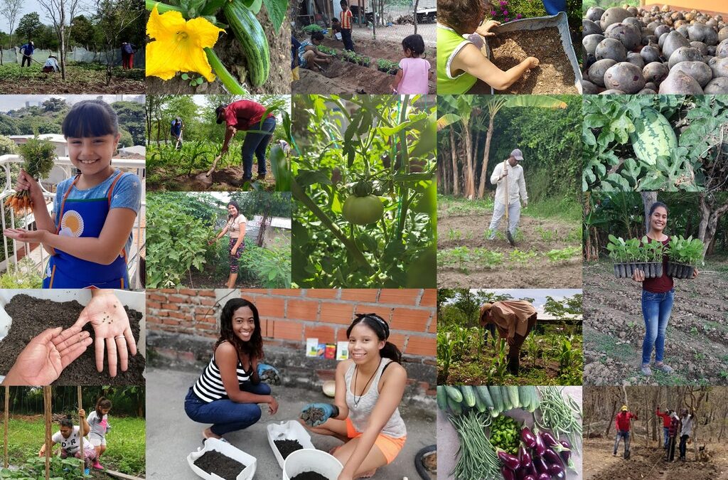 Fomentando la autosuficiencia: FUNDAEC estimula la producción local de alimentos