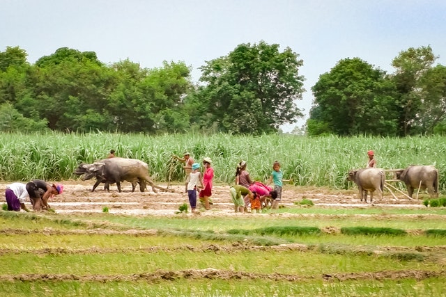 El Pueblo Nepalés Desarrolla Capacidad Agrícola Como Estrategia a Largo Plazo